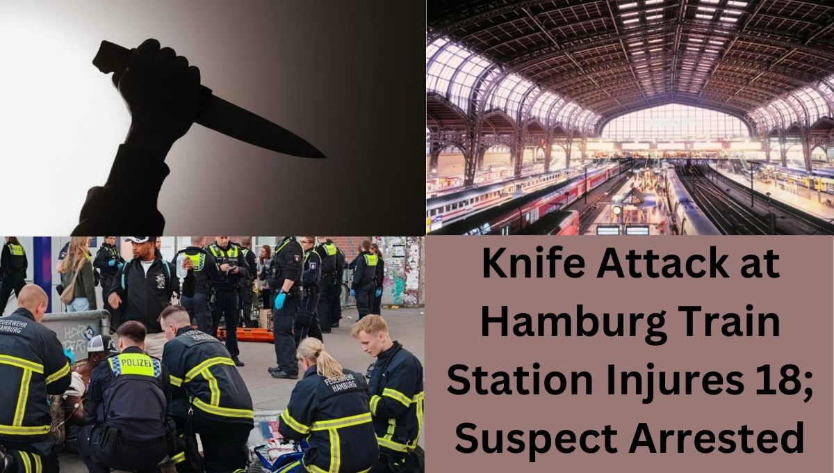 Knife Attack at Hamburg Train Station Injures 18; Suspect Arrested