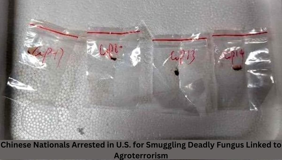 Chinese Nationals Arrested in U.S. for Smuggling Deadly Fungus Linked to Agroterrorism
