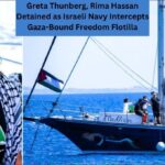 Greta Thunberg, Rima Hassan Detained as Israeli Navy Intercepts Gaza-Bound Freedom Flotilla