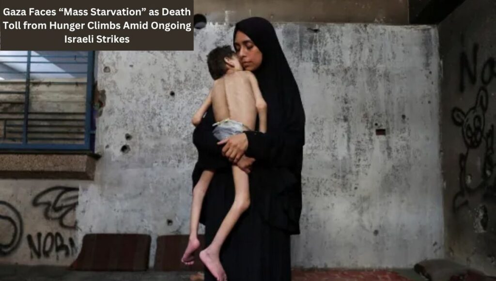 Gaza Faces “Mass Starvation” as Death Toll from Hunger Climbs Amid Ongoing Israeli Strikes