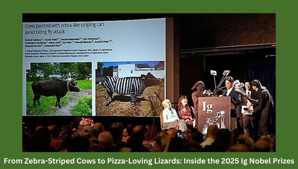 From Zebra-Striped Cows to Pizza-Loving Lizards: Inside the 2025 Ig Nobel Prizes
