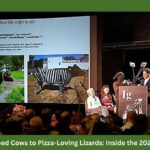 From Zebra-Striped Cows to Pizza-Loving Lizards: Inside the 2025 Ig Nobel Prizes From Zebra-Striped Cows to Pizza-Loving Lizards: Inside the 2025 Ig Nobel Prizes