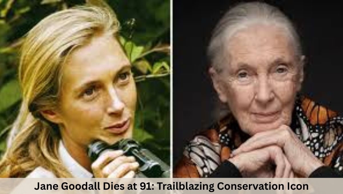 Jane Goodall Dies at 91: Trailblazing Conservation Icon