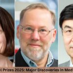 Nobel Prizes 2025: Major Discoveries in Medicine & Physics Nobel Prizes 2025: Major Discoveries in Medicine & Physics