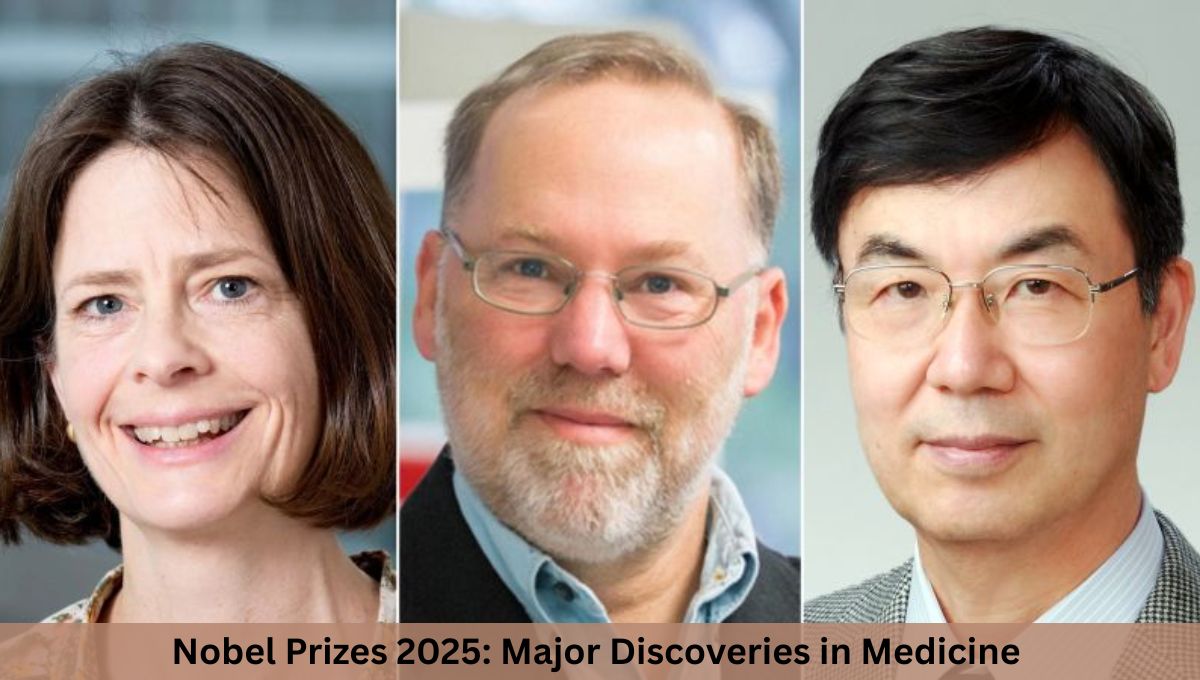 Nobel Prizes 2025: Major Discoveries in Medicine & Physics