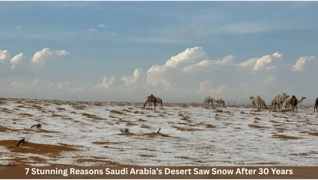 7 Stunning Reasons Saudi Arabia’s Desert Saw Snow After 30 Years