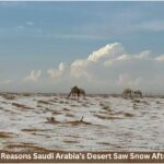 7 Stunning Reasons Saudi Arabia’s Desert Saw Snow After 30 Years