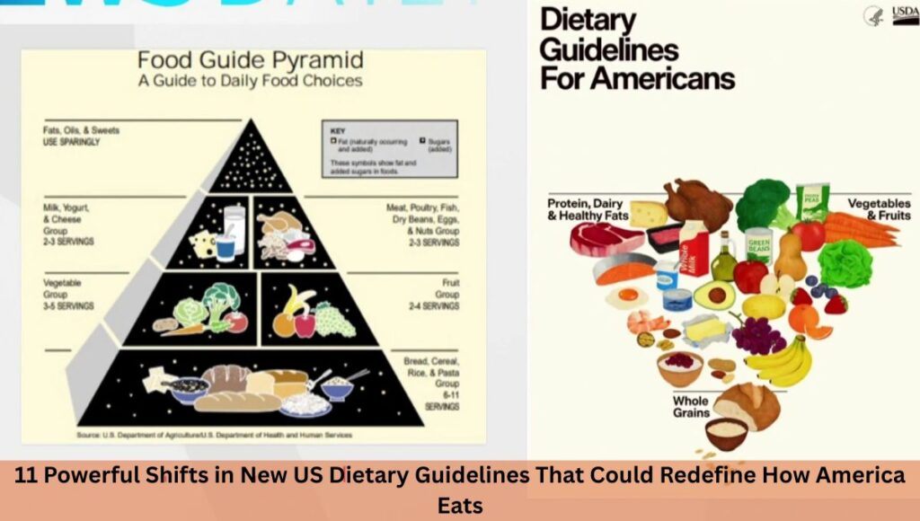 11 Powerful Shifts in New US Dietary Guidelines That Could Redefine How America Eats