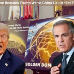 7 Explosive Reasons Trump Warns China Could “Eat Them Up”
